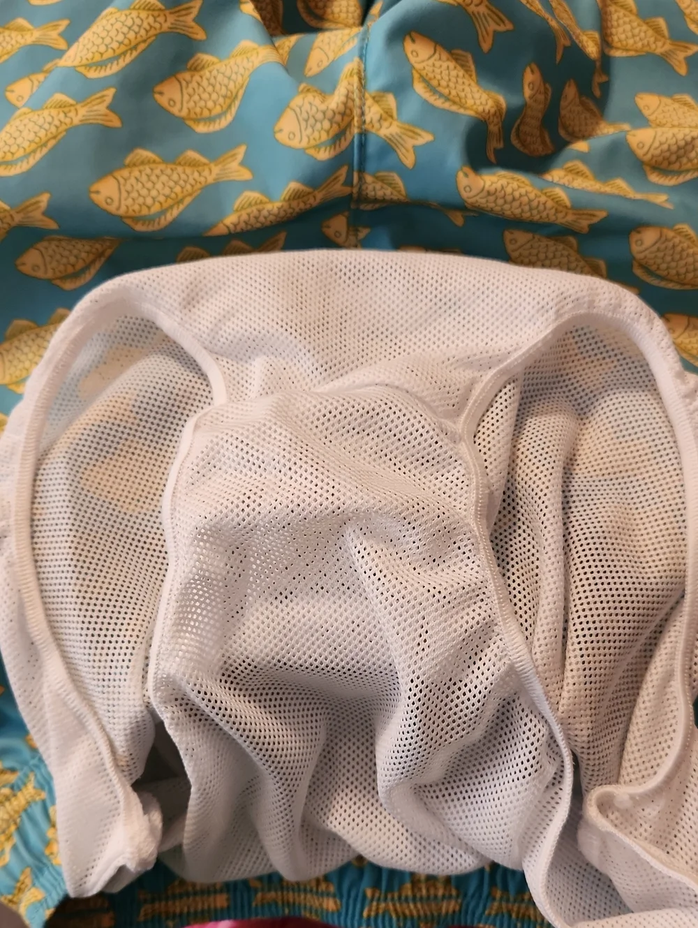 Crewcuts Boys' Goldfish Swim Trunks Size 8